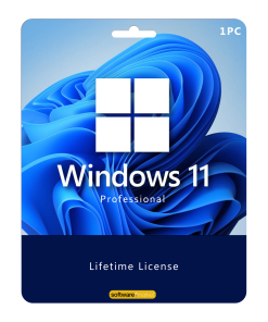 Windows_11_Pro_Key_License